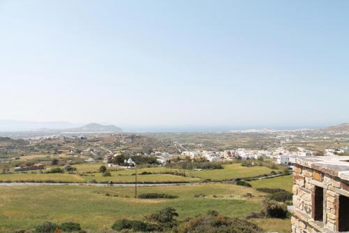IMG 7817